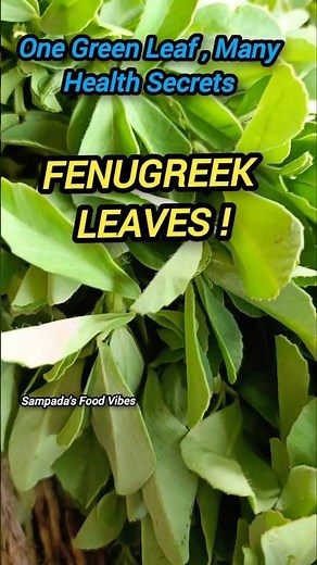 Fenugreek Leaves Benefits |Health Benefits of Methi Leaves #fenugreekleaves #benefits #shorts