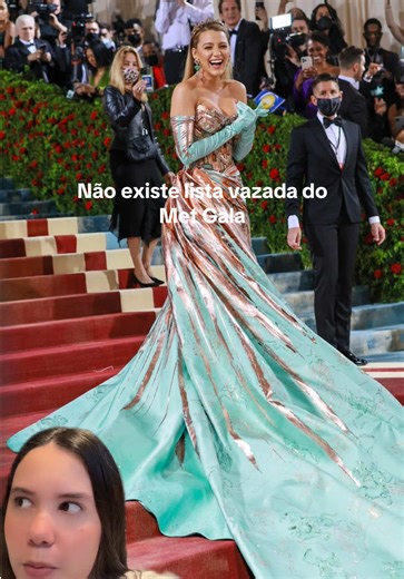 Ja tomei tanto block por desmentir esse mito #fashion #moda #metgala | Met Gala 2026