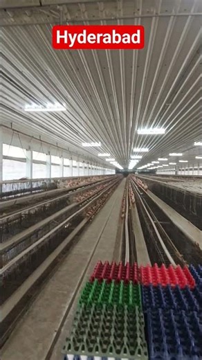 Village Poultry Farm Vlog 🐔 | Chicken Egg Production India#shorts