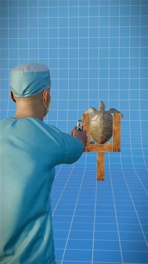 How a turtle's shell works😱 (3D animation) #shorts #animation