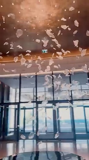 💍💍💍 Coming soon… | Terrence J