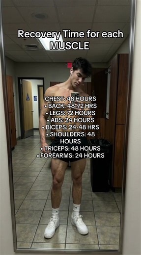 Muscle Recovery Times for Optimal Gym Performance
