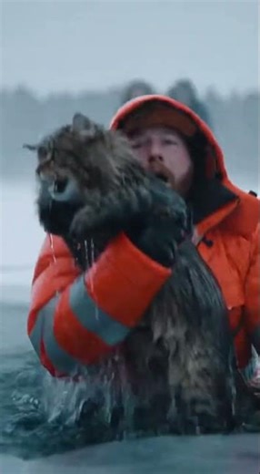 A Cat Crying on Top of a Snow Surrounded by Floodwater is Saved in a Race Against Time