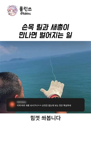 낚시 릴과 새총이 만나면 벌어지는 일