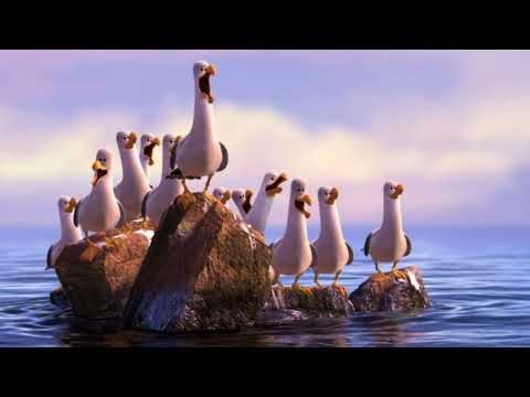 Seagulls theme - Finding Nemo - Music by Thomas Newman