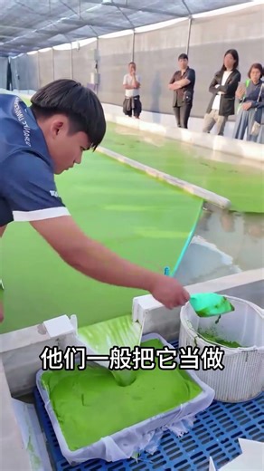 Workers collect rootless duckweed #EncyclopediaCode #SciencePopularization #LearnMore