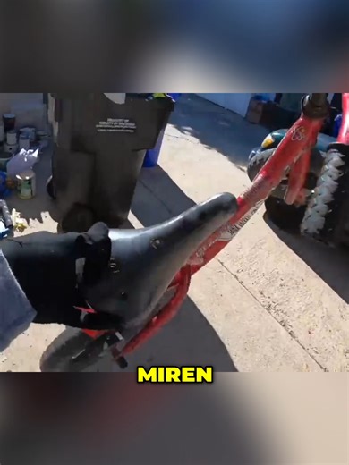 Incredible Find: Discover What's Inside