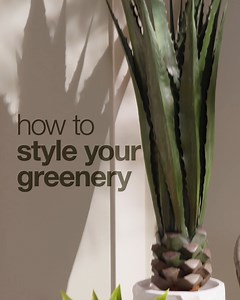 5.2K views · 39 reactions | Give your plants a little TLC! 華 Shop planters + get FREE SHIPPING!*: https://bit.ly/3QI5o9y | Overstock | Facebook