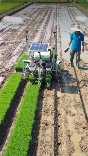 Smart robotic seedling planter 🌱🤖-precision power and progress