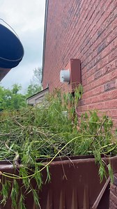 This will keep the bugs off ……. | Jason Smith