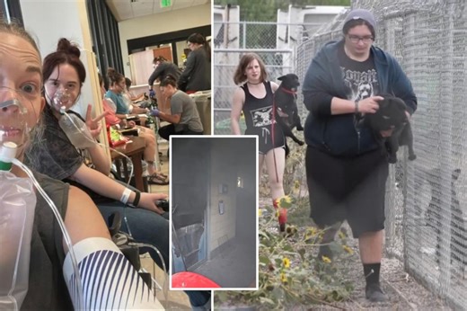 14 Montana animal shelter workers hospitalized after FBI meth burn goes wrong