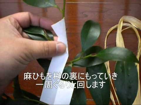 How to make tamagushi (attaching paper strips to sakaki branches), offering tamagushi is always i...