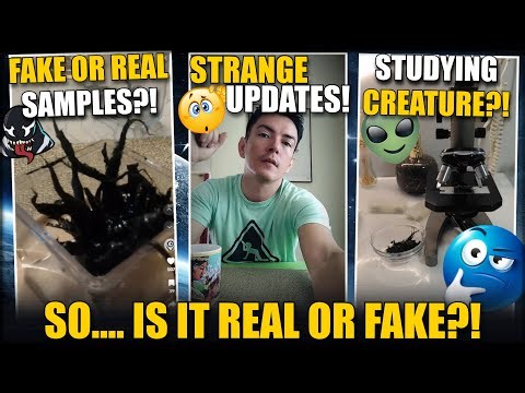Panama Alien Update: Was Kin FORCED to Say K25 WAS FAKE?!