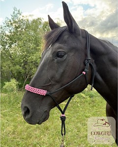 Handmade Rope Horse Halter – Braided Paracord Noseband, Western Training - Etsy Australia
