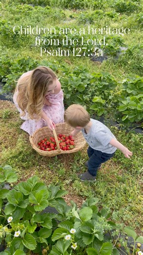 Over the years I have written many Mother’s Day posts, surprisingly, most of them were written well before I become a mother. One of my favorites is filled with Bible Verses about Mothers, while another is on being Desperate on Mother’s Day. I’ve written A Letter of Encouragement to Those Who Are Not Mothers on Mother’s Day and a Mother’s Day Confession after having been a mother for a few years. And this year, well honestly, I’m worn out. Not from motherhood, just life. Between building a house