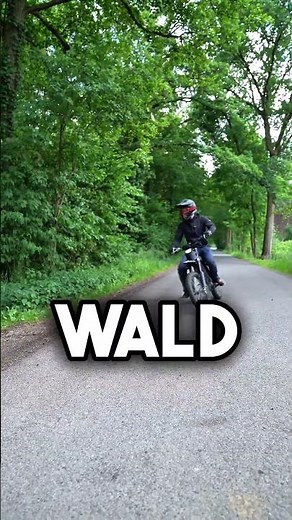 SURRON Light Bee on the street or in the forest?