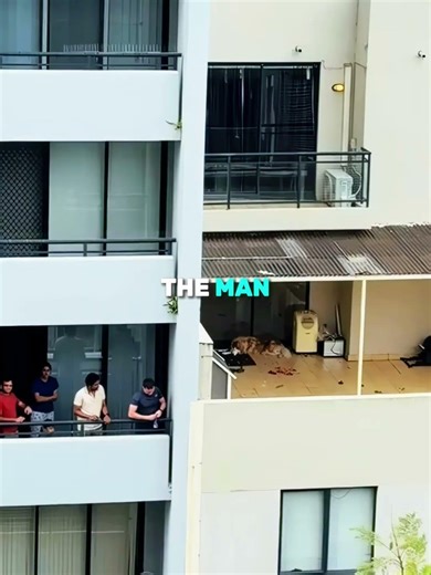 The Dog Left Alone on a Balcony for Days 💔🐶 (📷 Kritter Club) #shorts