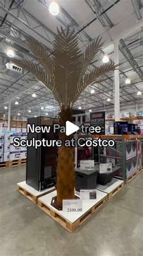 Costco New Deals |Alejandra Martinez on Instagram: "I Spotted the palm tree sculpture on sale $700 Off right now!!! 😱And it looks gorgeous next to the pool. Stay til the end to see. This was spotted in loomis ca USA. #costco #costconew #costconewdeals"