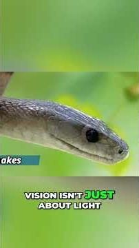 See the World Through Animal Eyes: Snake Vision Secrets.