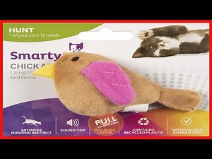 SmartyKat Electronic Sound Bird Toys for Cats & Kittens