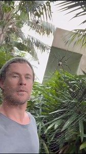 Didn’t even scare me🤥 | Chris Hemsworth