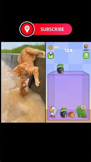 Resquing kittens🥰 #sadcat #catshorts #cat #catvideos #catstory