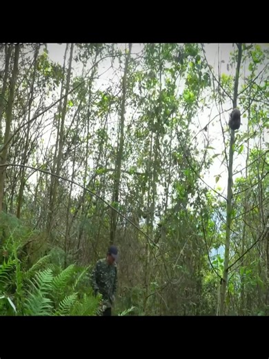 Creative DIY Truck Projects for Home Improvement