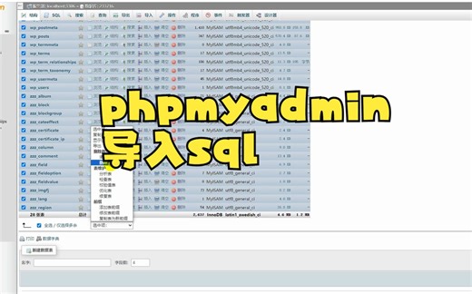 phpmyadmin导入sql