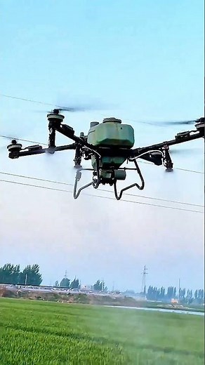 Cornfield Spray in Action with DJI T70 Drone #Shorts