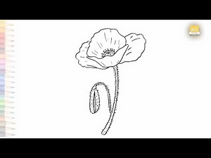 Poppy flower easy drawing | Outline art tutorial | How to draw A Poppy flower step by step simply