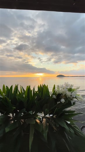 15K views · 238 reactions |  Here it is! Our very first official Chalu Vista music video!  Huge thanks to Marco for the awesome music — ang ganda !  And of course, thank you sa lahat ng Chalu friends & valued customers who keep loving and visiting our place! ✨ #ChaluVistaVibes #GoodTimesOnly | Chalu Vista Beach Resort | Facebook