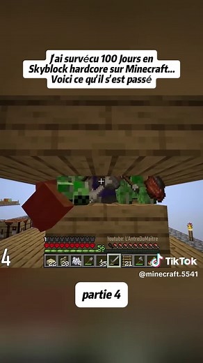 Survivre 100 jours en Skyblock Hardcore dans Minecraft