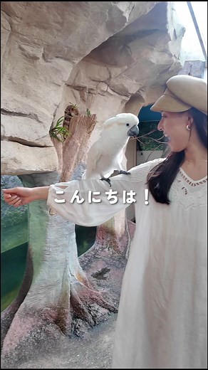 那須動物王国の魅力を探る