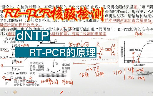 RT-PCR原理