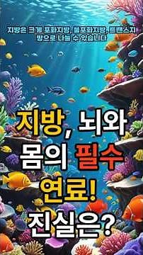 필수 "지방"의 진실 총정리 #천사와 악마 지방 #오메가3.6.9 #지방의 종류 #불포화지방산#혈관질환 #비만