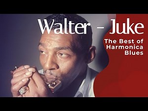 Juke - Blues Harmonica - Little Walter Cover