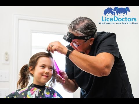 LiceDoctors - Premier Professional At-home Lice Treatment Service