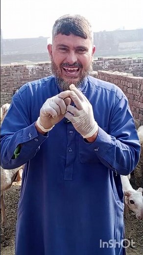 Breeding Care of Sheep and Goats | Complete Guide for Farmers