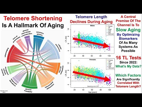 Telomere Length Test #16: My Best Data Yet