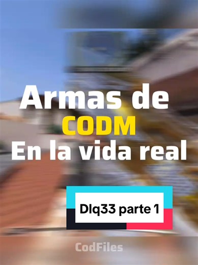 DL Q33-2A4A5H6A7A Clase de la dlq . . . #historia #callofdutymodernwarfare #callofdutymobile #viarlvideo #biografias #cod #callofduty #armas