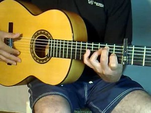 Lección 17ª " Técnica del Alzapúa "