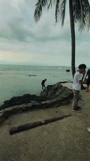 Wifi SoluTion & SpeedNet