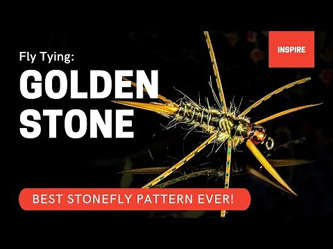 GOLDEN STONEFLY fly pattern