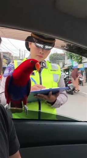 No License, No Drive!