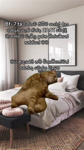 Humorous Sinhala Memes You Can't Miss