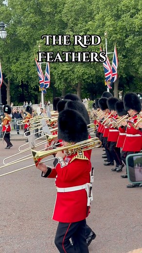 The Red Feathers #MassedBands #militaryband #london #britishtradition #londonevents | Donna Sharene