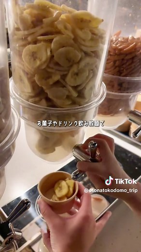 温泉宿リニューアル！家族で楽しむ新リゾート