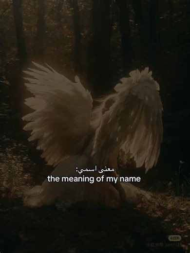 #fyp#foryou #viral #اكسبلور #ترند