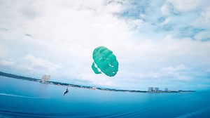 117 reactions · 43 shares | Let’s wander Cebu! With so many activities, it’s easy to get caught up in a rush. Just hop on and dive in to new experiences. Cebu has the largest Oceanarium in the country, where you can learn about marine life without getting your feet wet! Ride the waves in beautiful Cebu! #ItsMoreFunInThePhilippines #ItsMoreFunWithYou | Tourism Promotions Board Philippines | Facebook