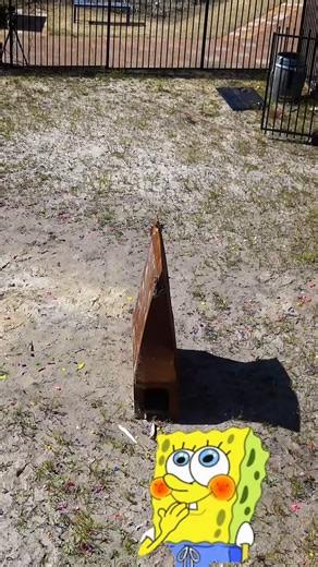 200K views · 491 reactions | SPONGE BOB #spongebob #cartoon #anvil #reels #boat #droptest #fun | How Ridiculous | Facebook